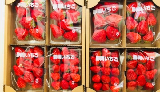 静岡県牧之原市　濃く甘いちご「紅ほっぺ」2.5kg以上